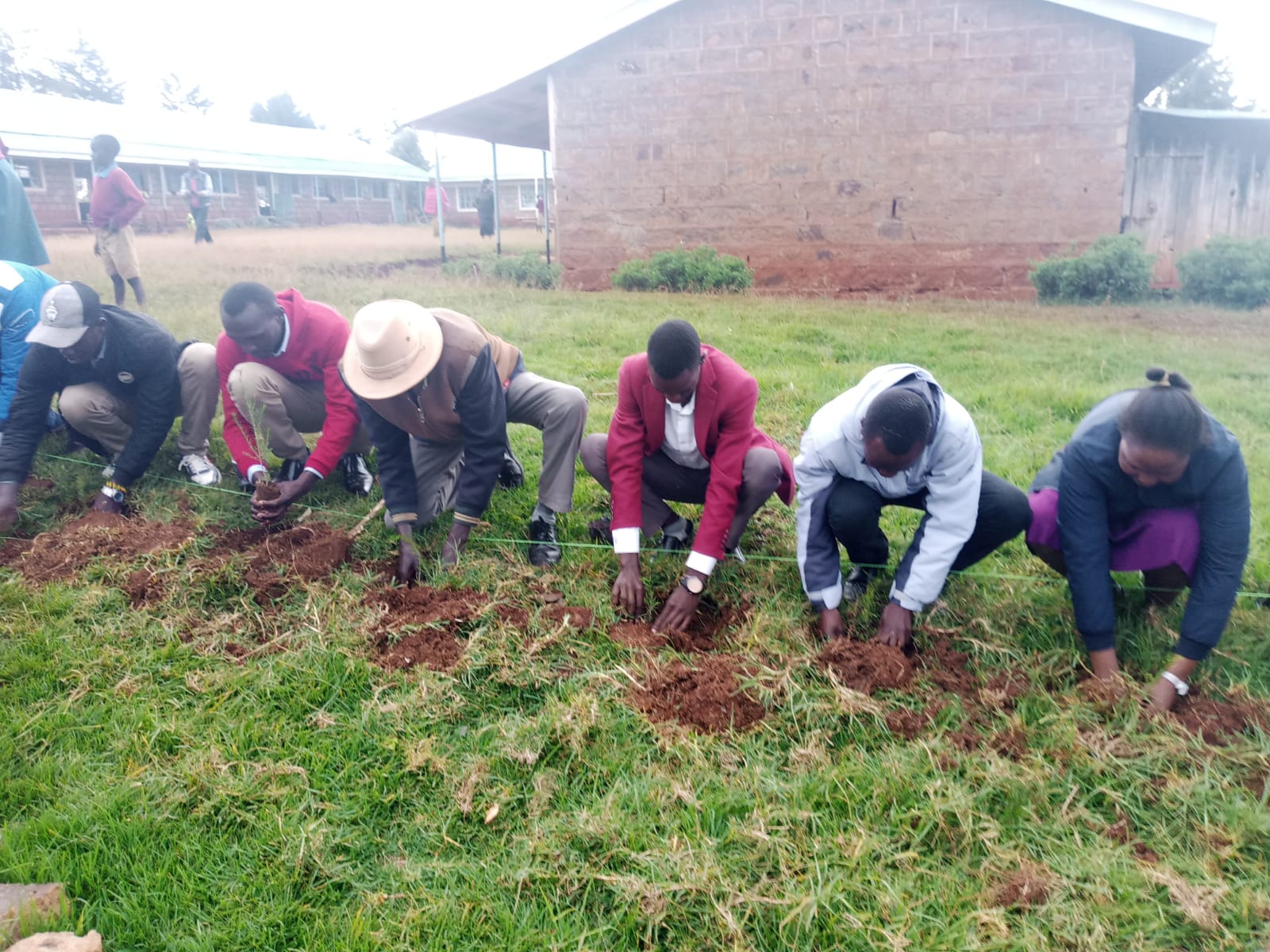Youth group members planting trees