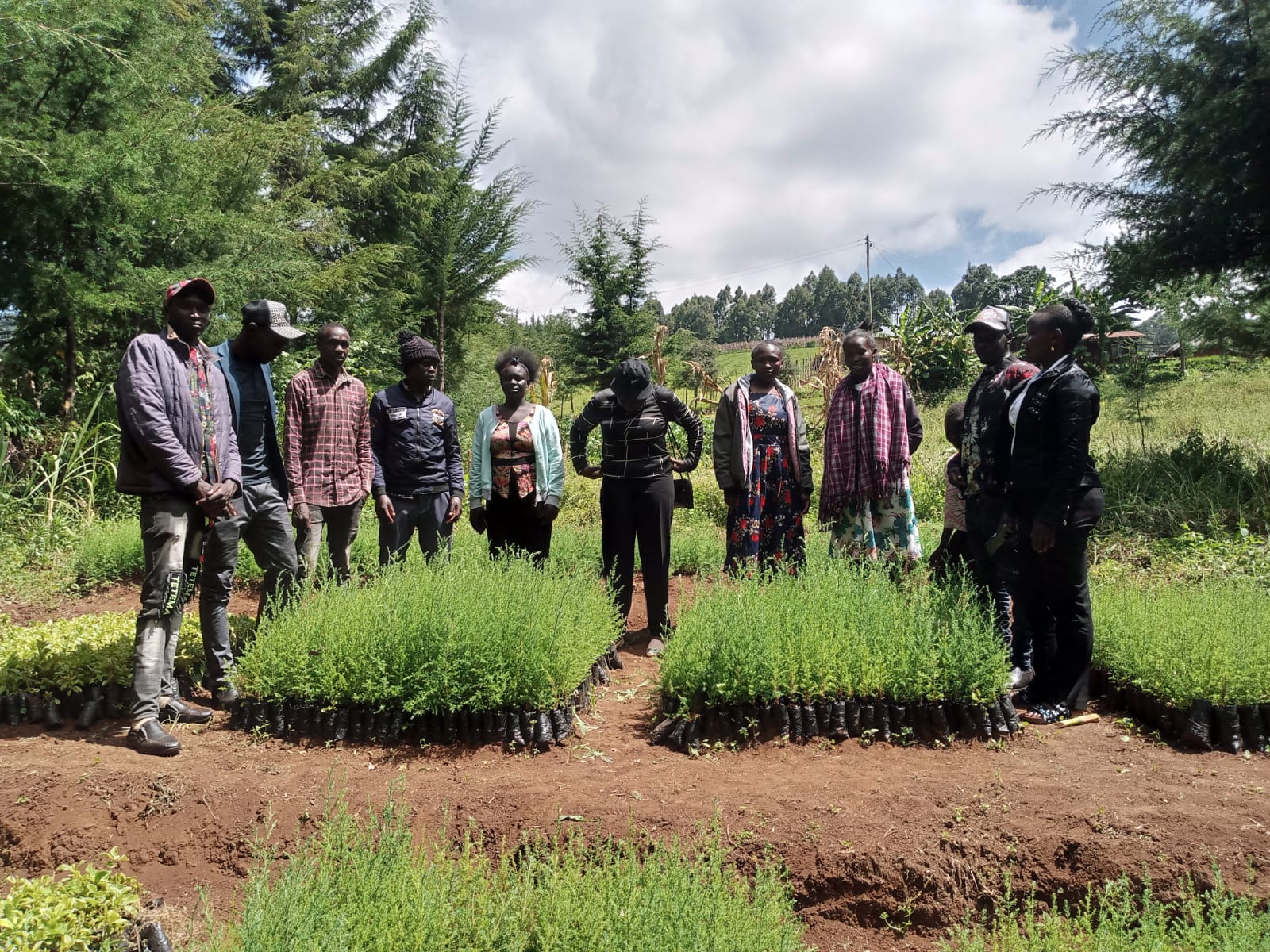 Members visiting Tree Nursery